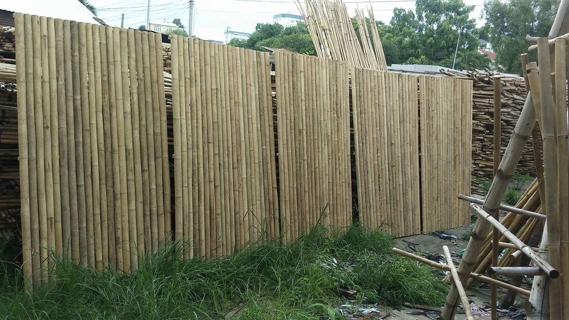 Hàng rào tre nứa chuẩn bị thi công cho nhà gỗ